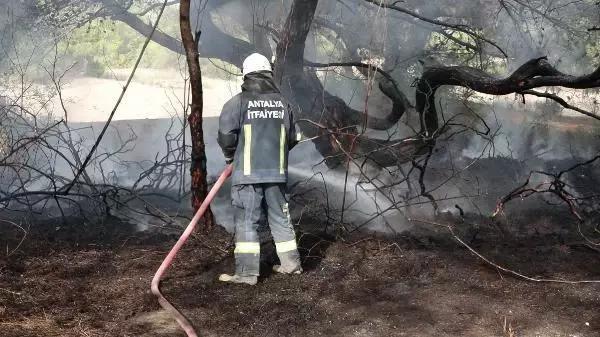 ANTALYA ORMANLIK ALANDA KENDİSİNİ YAKTI, AĞIR YARALANDI ANTALYA ORMANLIK ALANDA KENDİSİNİ YAKTI, AĞIR YARALANDI