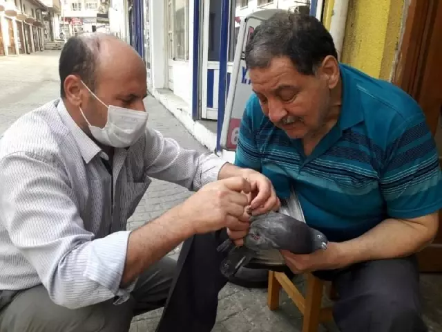 Özgürlüğüne kavuşturdular.. Ayağına ip dolanan kuşu vatandaşlar kurtardı Özgürlüğüne kavuşturdular.. Ayağına ip dolanan kuşu vatandaşlar kurtardı