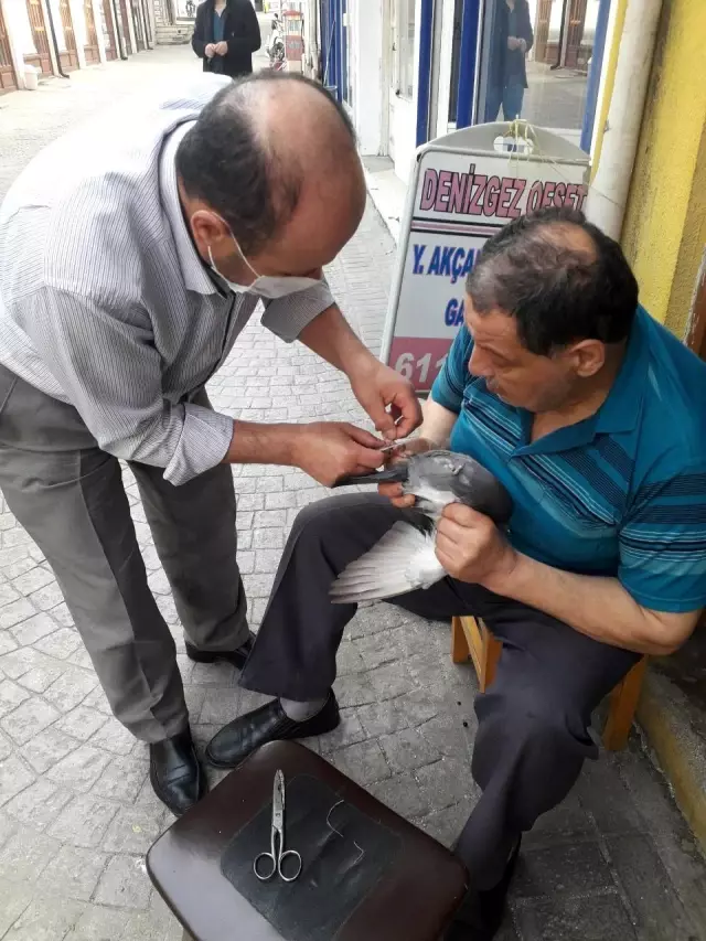 Özgürlüğüne kavuşturdular.. Ayağına ip dolanan kuşu vatandaşlar kurtardı Özgürlüğüne kavuşturdular.. Ayağına ip dolanan kuşu vatandaşlar kurtardı