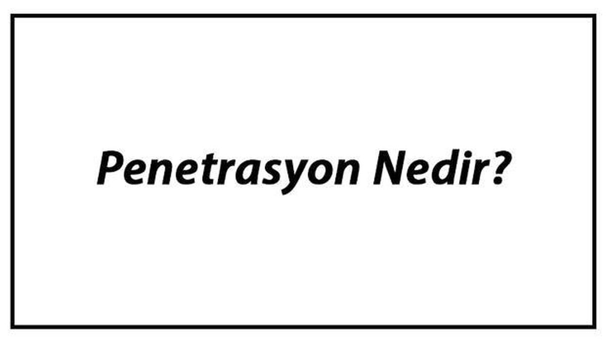 Penetrasyon Nedir? Virüs Penetrasyon Adımları Hakkında Bilgi