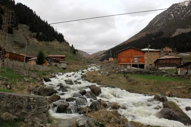 Rize'nin gözde yaylaları tam kapanmanın biteceği tarihi bekliyor Rize'nin gözde yaylaları tam kapanmanın biteceği tarihi bekliyor