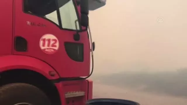 Samanlıkta çıkan yangına müdahale edildi Samanlıkta çıkan yangına müdahale edildi
