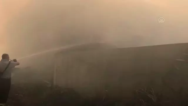Samanlıkta çıkan yangına müdahale edildi Samanlıkta çıkan yangına müdahale edildi