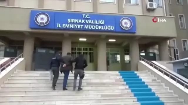 Şırnak'ta kaçakçılık operasyonu: 30 gözaltı Şırnak'ta kaçakçılık operasyonu: 30 gözaltı