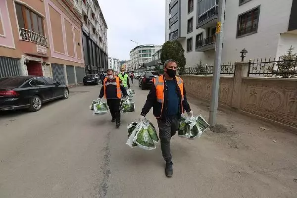 Sivas'ta, 580 bin ağaç tohumu kapı kapı dağıtılıyor Sivas'ta, 580 bin ağaç tohumu kapı kapı dağıtılıyor
