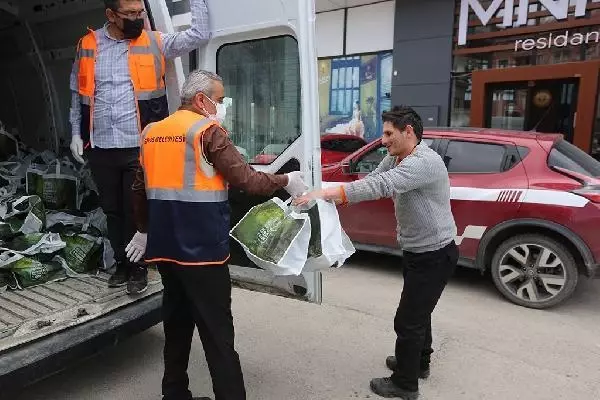Sivas'ta, 580 bin ağaç tohumu kapı kapı dağıtılıyor Sivas'ta, 580 bin ağaç tohumu kapı kapı dağıtılıyor