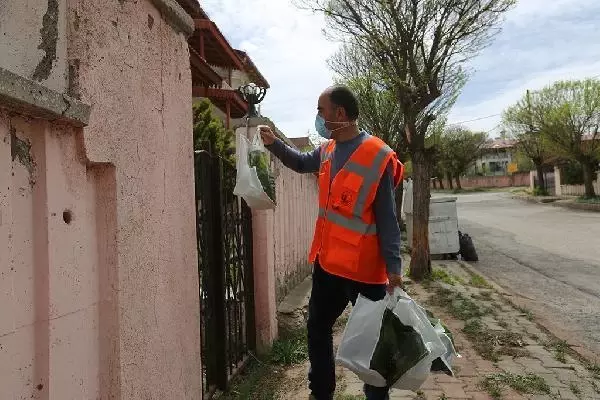 Sivas'ta, 580 bin ağaç tohumu kapı kapı dağıtılıyor Sivas'ta, 580 bin ağaç tohumu kapı kapı dağıtılıyor