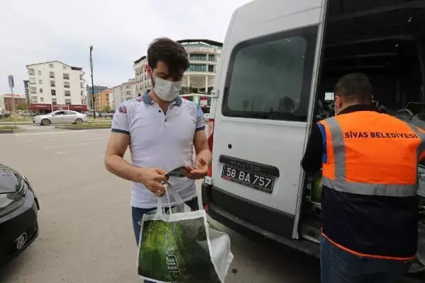 Sivas'ta, 580 bin ağaç tohumu kapı kapı dağıtılıyor Sivas'ta, 580 bin ağaç tohumu kapı kapı dağıtılıyor