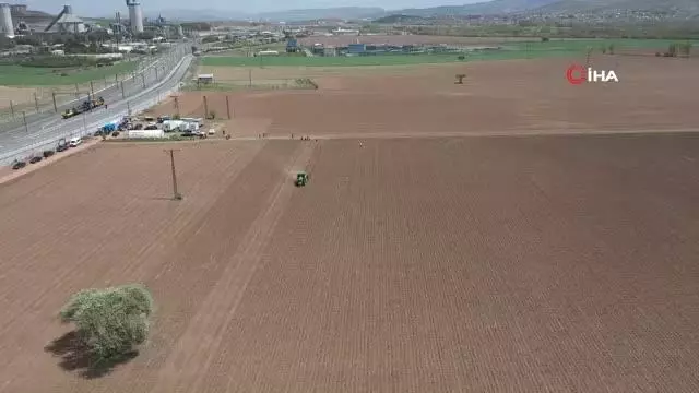 Sivas'ta ilk kenevir tohumları toprakla buluştu