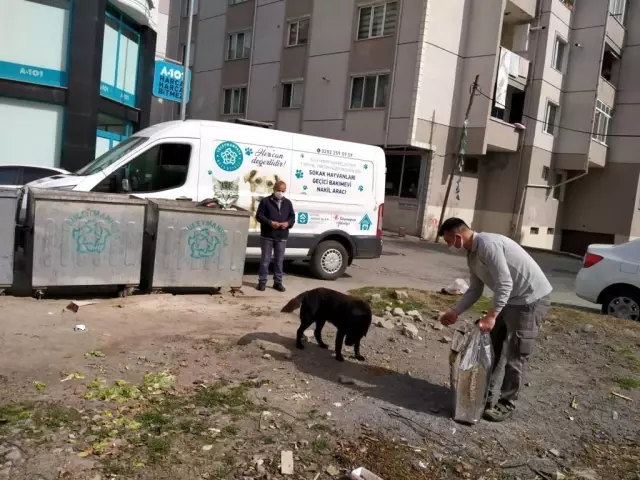 Sokakta yaşayan canlar, tam kapanmada Süleymanpaşa Zabıtasına emanet Sokakta yaşayan canlar, tam kapanmada Süleymanpaşa Zabıtasına emanet