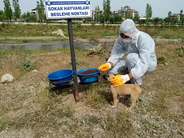 Tam kapanmada sokak hayvanları unutulmadı Tam kapanmada sokak hayvanları unutulmadı