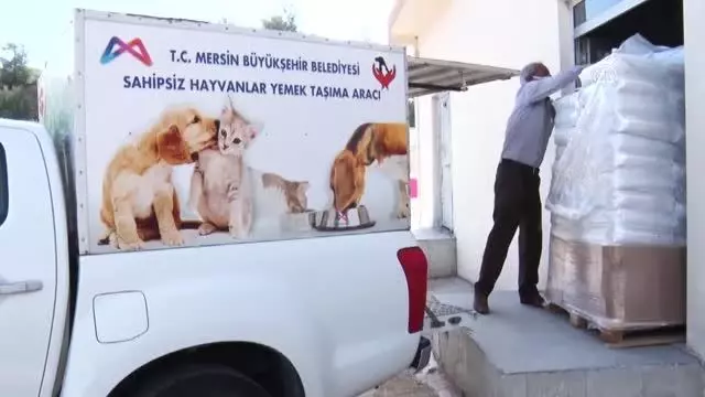 Tam kapanmada sokak hayvanlarına 7 ton mama dağıtılacak Tam kapanmada sokak hayvanlarına 7 ton mama dağıtılacak
