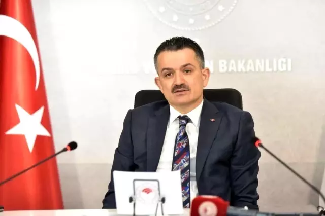 Tarım ve Orman Bakanı Pakdemirli: 'Son 19 yılda, 5,3 milyar fidanı toprakla buluşturduk' Tarım ve Orman Bakanı Pakdemirli: 'Son 19 yılda, 5,3 milyar fidanı toprakla buluşturduk'