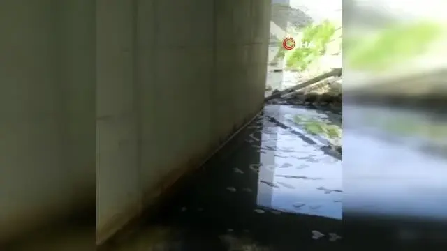 Tekirdağ'da kirlenen derede balık ölümleri tedirgin ediyor Tekirdağ'da kirlenen derede balık ölümleri tedirgin ediyor