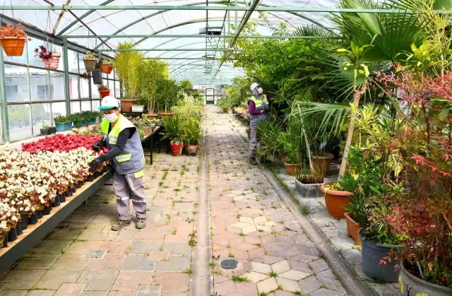 Tepebaşı'nın dört bir yanını süslüyorlar Tepebaşı'nın dört bir yanını süslüyorlar