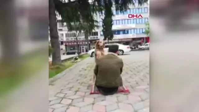 TRABZON BESLEDİĞİ SOKAK KÖPEĞİ NAMAZDA YANINDAN AYRILMADI TRABZON BESLEDİĞİ SOKAK KÖPEĞİ NAMAZDA YANINDAN AYRILMADI