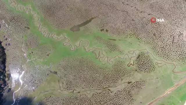 Türkiye'de böylesini hiç görmediniz.. Karagöl Yaylası eşsiz manzarası ve el değmemiş doğası ile dikkat çekiyor Türkiye'de böylesini hiç görmediniz.. Karagöl Yaylası eşsiz manzarası ve el değmemiş doğası ile dikkat çekiyor