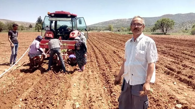 Üretimde dünya lideri olan Denizli'de kekik ekim alanları artıyor Üretimde dünya lideri olan Denizli'de kekik ekim alanları artıyor