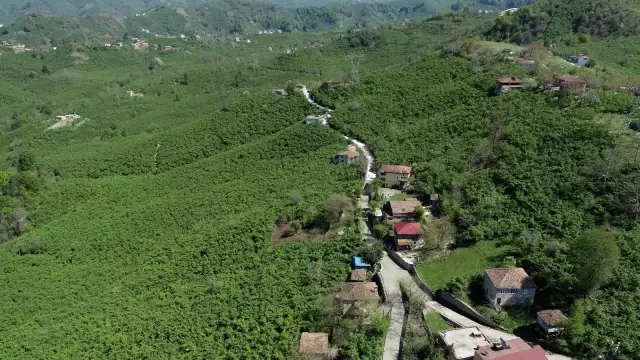 Yarım asırlık yol hasreti sona eriyor Yarım asırlık yol hasreti sona eriyor
