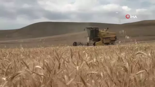 Yozgat'ın biçerdöverleri Güneydoğu yolcusu Yozgat'ın biçerdöverleri Güneydoğu yolcusu