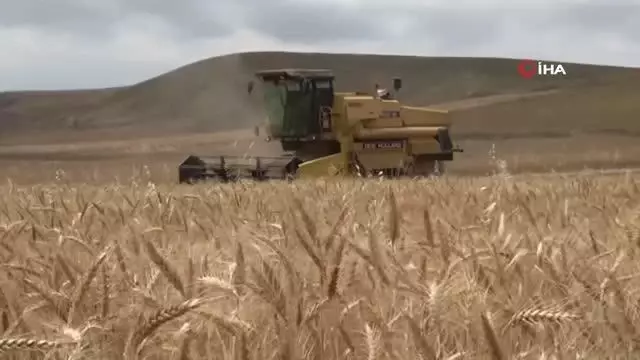 Yozgat'ın biçerdöverleri Güneydoğu yolcusu Yozgat'ın biçerdöverleri Güneydoğu yolcusu