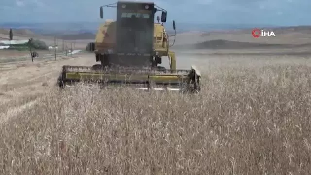 Yozgat'ın biçerdöverleri Güneydoğu yolcusu Yozgat'ın biçerdöverleri Güneydoğu yolcusu