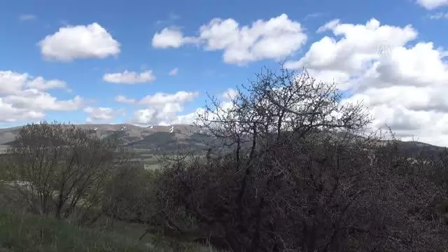 Yüksek kesimlere kar yağdı