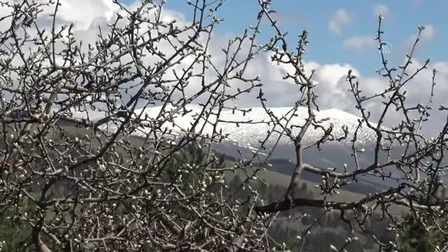 Yüksek kesimlere kar yağdı