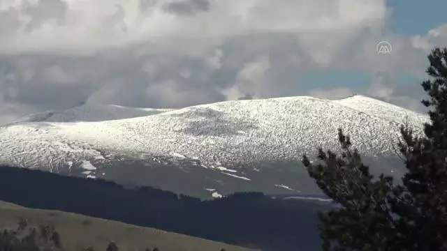 Yüksek kesimlere kar yağdı