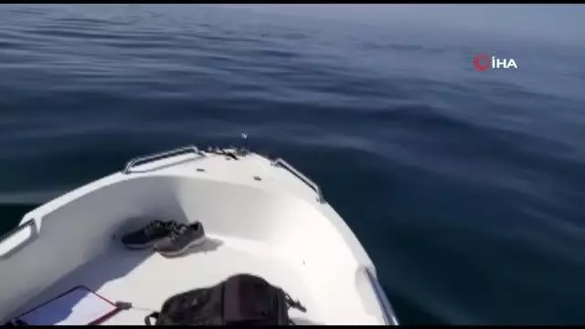 Son dakika haber... Yunusların tekne ile dansı kamerada Son dakika haber... Yunusların tekne ile dansı kamerada