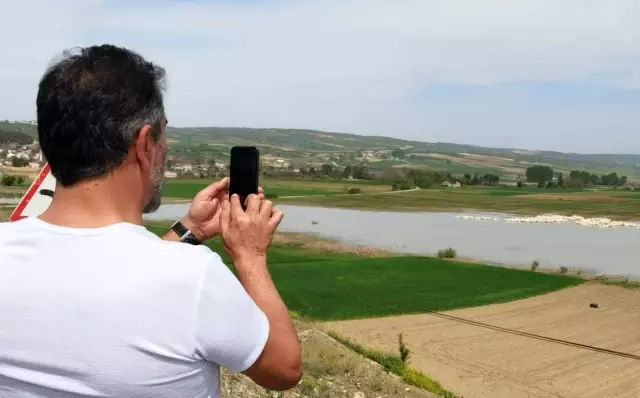 Pelikanların sudaki senfonisi büyüledi Pelikanların sudaki senfonisi büyüledi