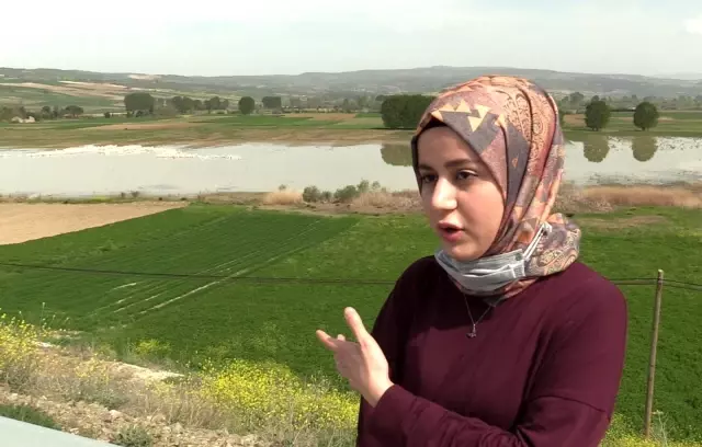 Pelikanların sudaki senfonisi büyüledi Pelikanların sudaki senfonisi büyüledi