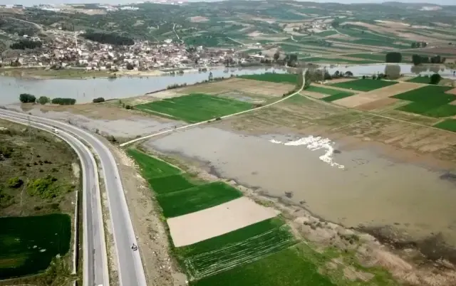 Pelikanların sudaki senfonisi büyüledi Pelikanların sudaki senfonisi büyüledi