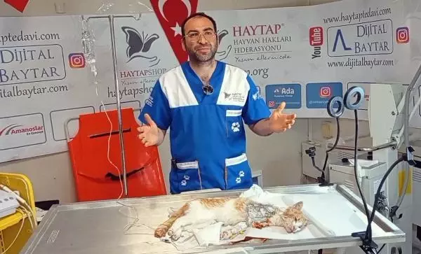 OSMANİYE ZAMANINDA MÜDAHALE EDİLEMEDİ, OTOMOBİL ÇARPAN KEDİNİN SAĞ BACAĞI KESİLDİ OSMANİYE ZAMANINDA MÜDAHALE EDİLEMEDİ, OTOMOBİL ÇARPAN KEDİNİN SAĞ BACAĞI KESİLDİ