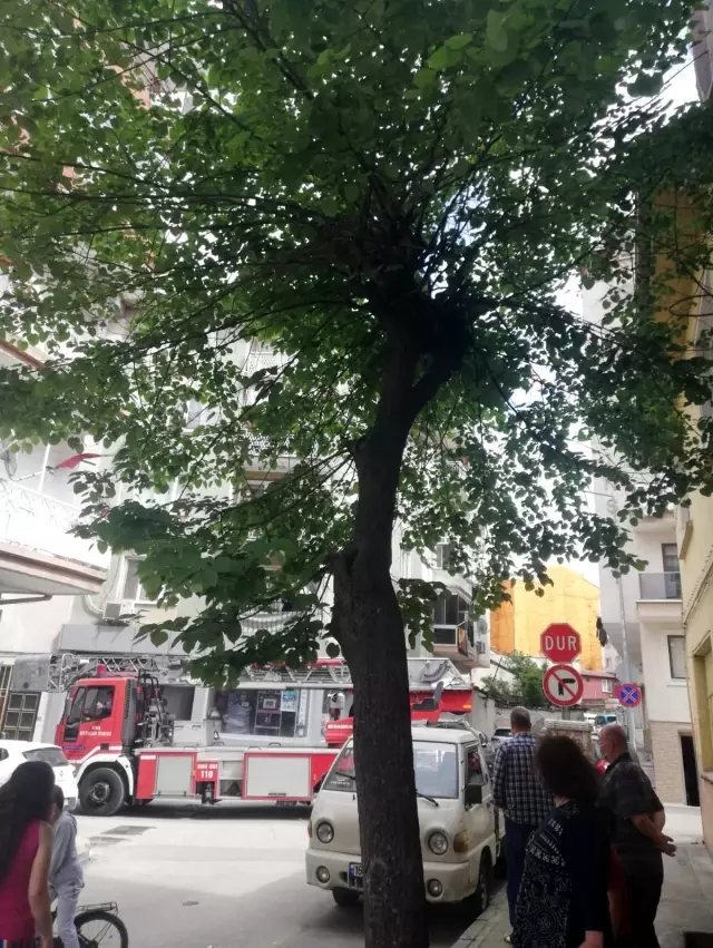 Son dakika haber | Ağaçta kalan kediyi itfaiye kurtardı Son dakika haber | Ağaçta kalan kediyi itfaiye kurtardı