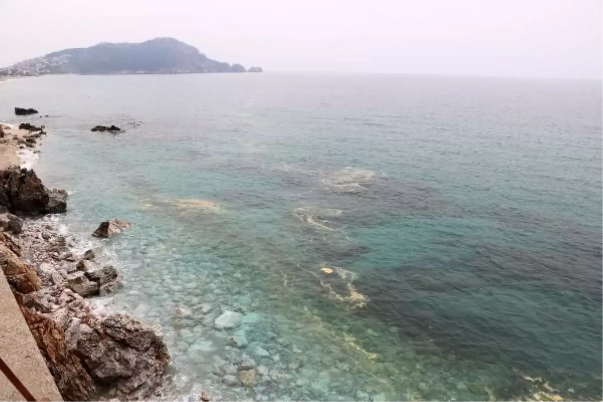 Alanya kıyılarında deniz salyası