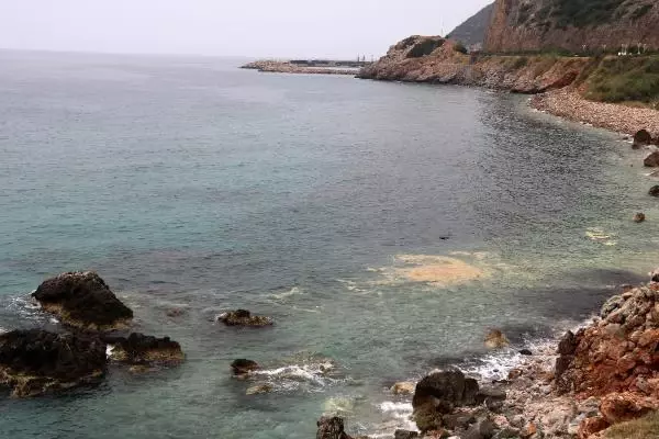 Alanya kıyılarında deniz salyası Alanya kıyılarında deniz salyası