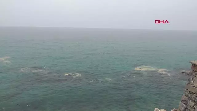 ALANYA KIYILARINDA DENİZ SALYASI GÖRÜLDÜ ALANYA KIYILARINDA DENİZ SALYASI GÖRÜLDÜ