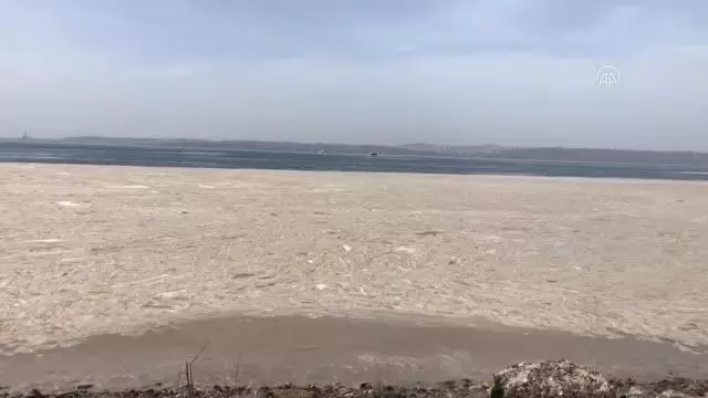 Altınova sahilinde 'deniz salyası' nedeniyle beyaz tabaka oluştu Altınova sahilinde 'deniz salyası' nedeniyle beyaz tabaka oluştu