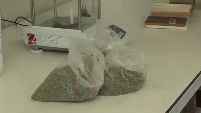 Aromatik bitkilerden elde edilen özüt ile ahşabın dayanıklılığının attırılması hedefleniyor Aromatik bitkilerden elde edilen özüt ile ahşabın dayanıklılığının attırılması hedefleniyor