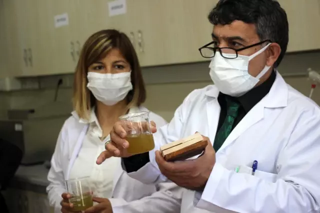 Artvin Çoruh Üniversitesi'nde aromatik bitkilerden ahşap malzeme koruyucusu üretildi Artvin Çoruh Üniversitesi'nde aromatik bitkilerden ahşap malzeme koruyucusu üretildi