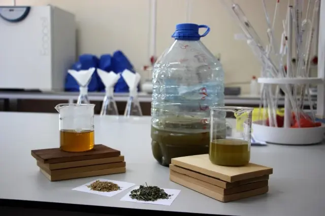 Artvin Çoruh Üniversitesi'nde aromatik bitkilerden ahşap malzeme koruyucusu üretildi Artvin Çoruh Üniversitesi'nde aromatik bitkilerden ahşap malzeme koruyucusu üretildi