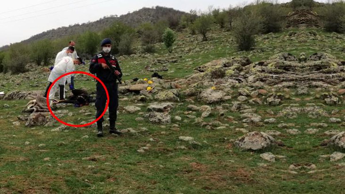 Baba ve 17 yaşındaki oğlu arazide öldürüldü! Çifte cinayetin nedeni pes dedirtecek cinsten