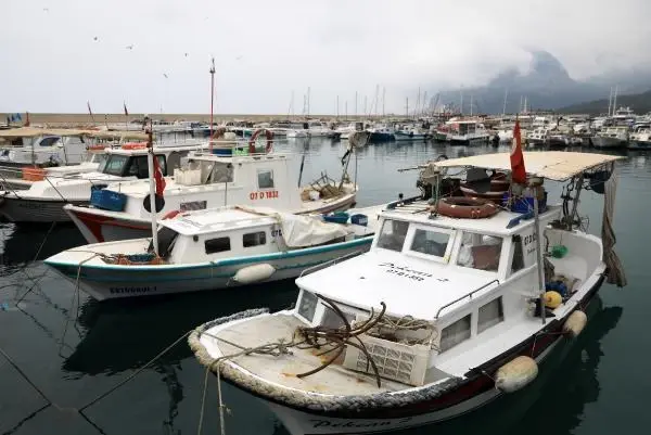 Balıkçıların 'kuyruk teşviki' sevinci Balıkçıların 'kuyruk teşviki' sevinci