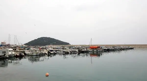 Balıkçıların 'kuyruk teşviki' sevinci Balıkçıların 'kuyruk teşviki' sevinci