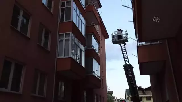 Son dakika haberleri! Balkona düşen ebabil kuşunu itfaiye kurtardı Son dakika haberleri! Balkona düşen ebabil kuşunu itfaiye kurtardı