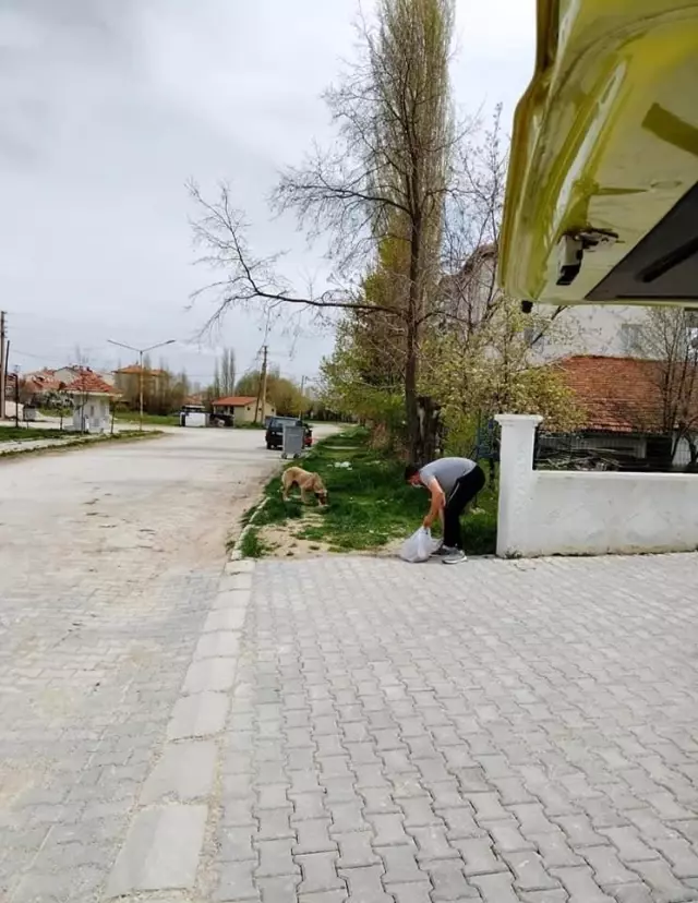 Başkan Akağaç: 'Sokak hayvanları için kapınızın önüne bir kap su bırakın' Başkan Akağaç: 'Sokak hayvanları için kapınızın önüne bir kap su bırakın'