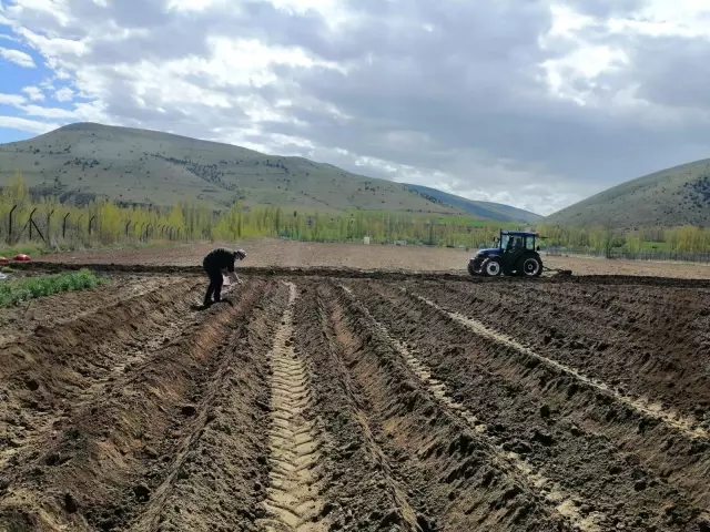 Bayburt Üniversitesi uygulama ve araştırma sahalarında ve serasında önemli tarım çalışmaları yürütülüyor Bayburt Üniversitesi uygulama ve araştırma sahalarında ve serasında önemli tarım çalışmaları yürütülüyor