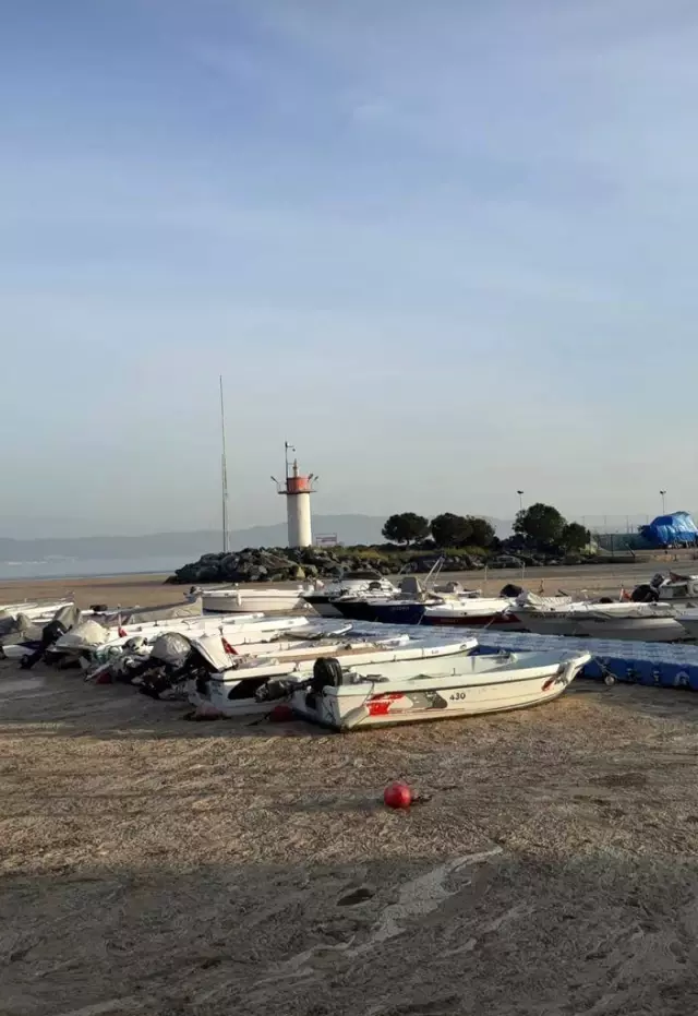 Beyaza bürünen körfezde balıklar tek tek ölmeye başladı Beyaza bürünen körfezde balıklar tek tek ölmeye başladı