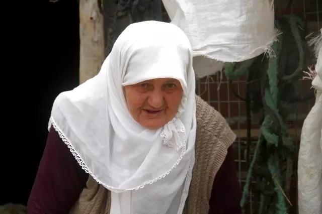 Bir koyunun tek batında 7 kuzu doğurması şaşırttı Bir koyunun tek batında 7 kuzu doğurması şaşırttı